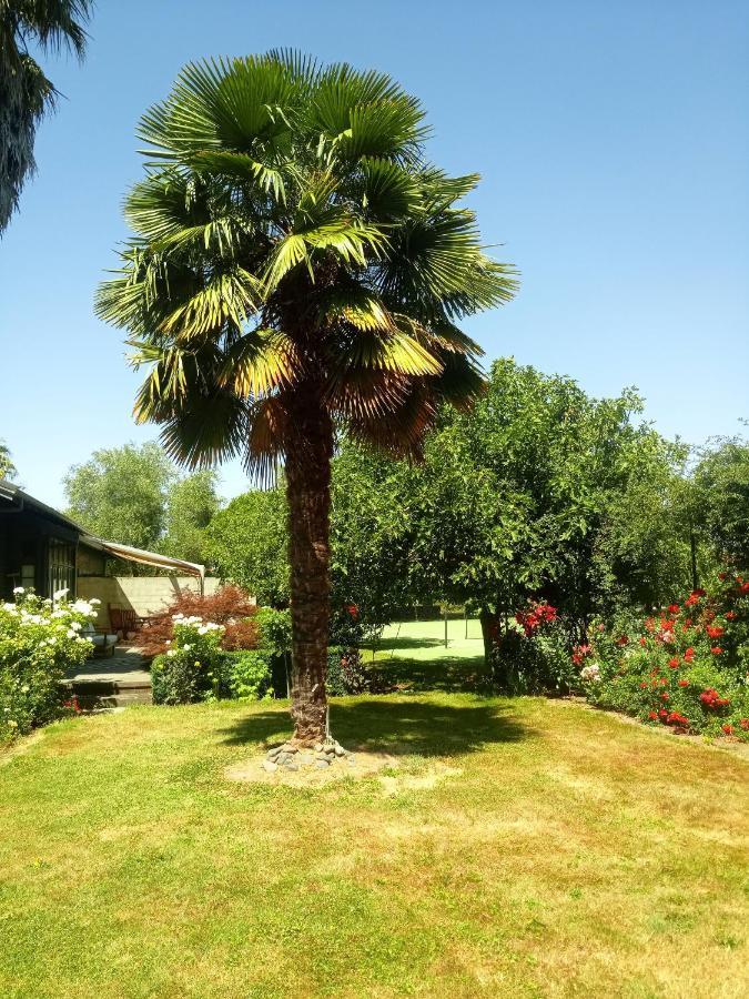 ヘイスティングズ Irongate Retreat Bed & Breakfast エクステリア 写真